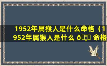 1952年属猴人是什么命格（1952年属猴人是什么 🦍 命格的人）